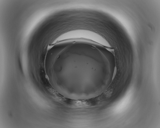 X0000112750239200909031533