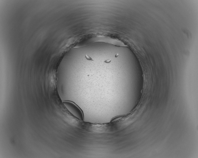 X0000112750240200909031533