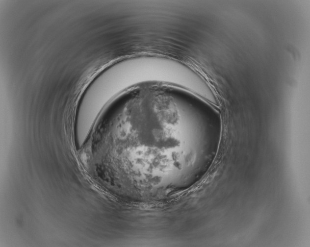 X0000112750241200909031532