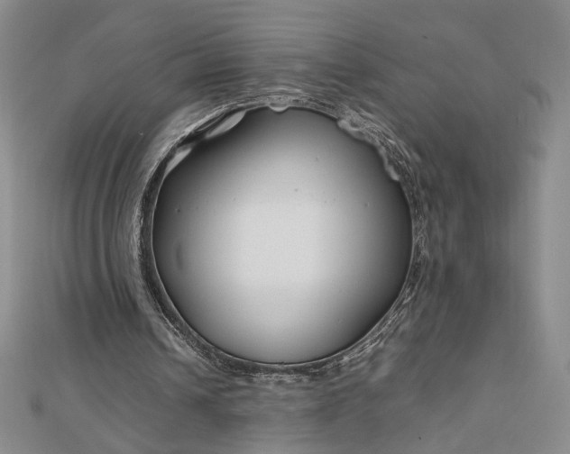 X0000112750242200909031532