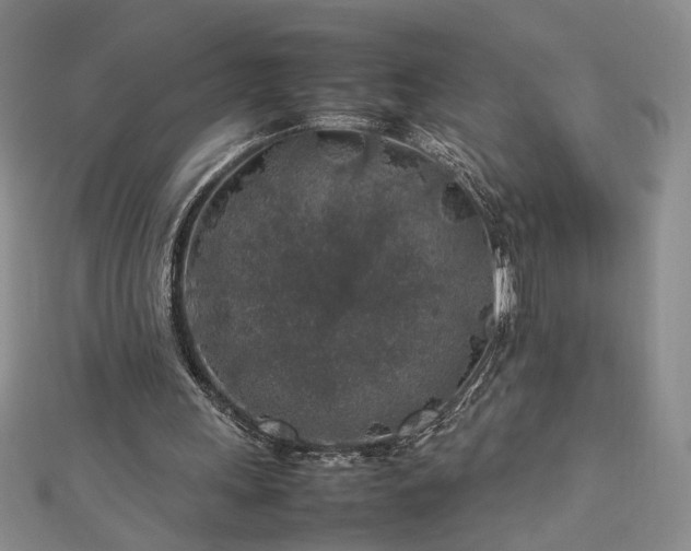 X0000112750243200909031532