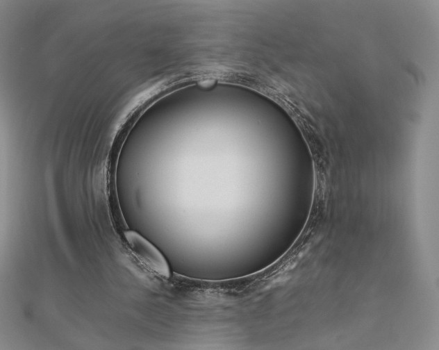 X0000112750244200909031532