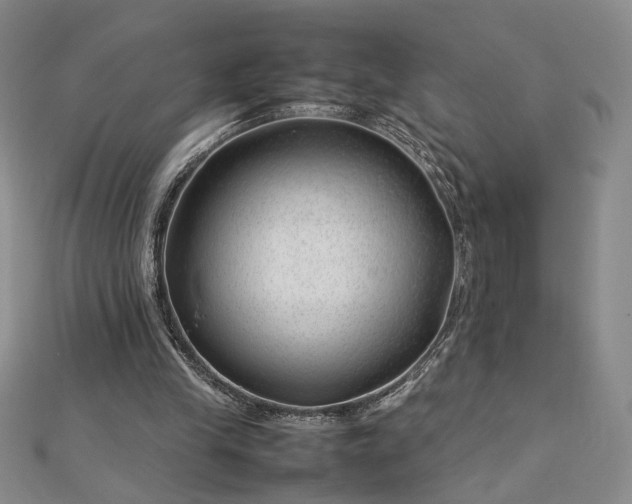 X0000112750245200909031532