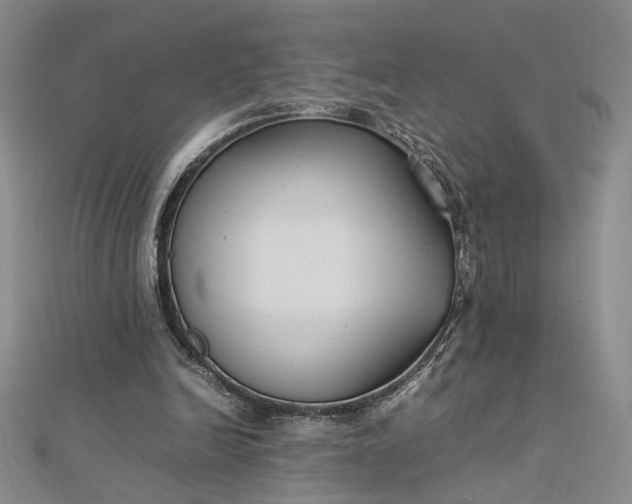 X0000112750246200909031533