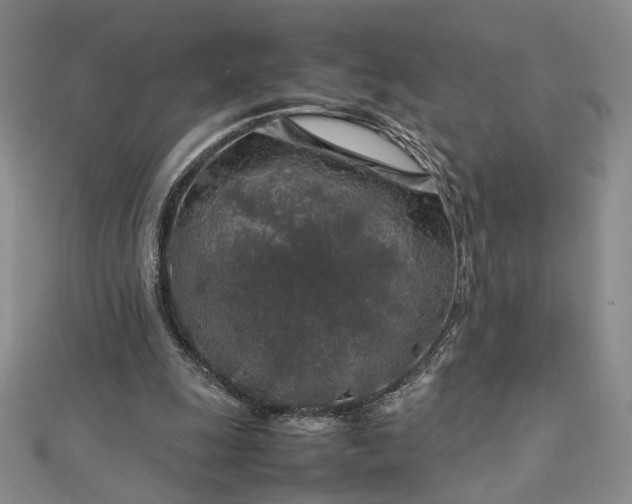 X0000112750247200909031533