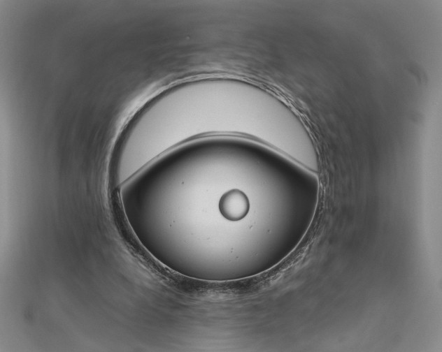 X0000112750248200909031533