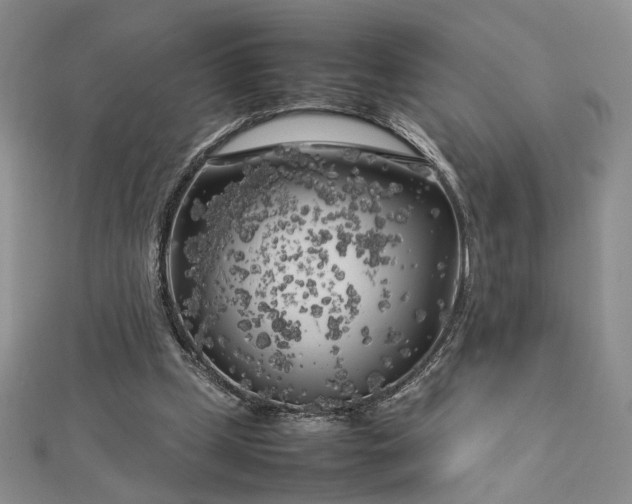 X0000112750249200909031533