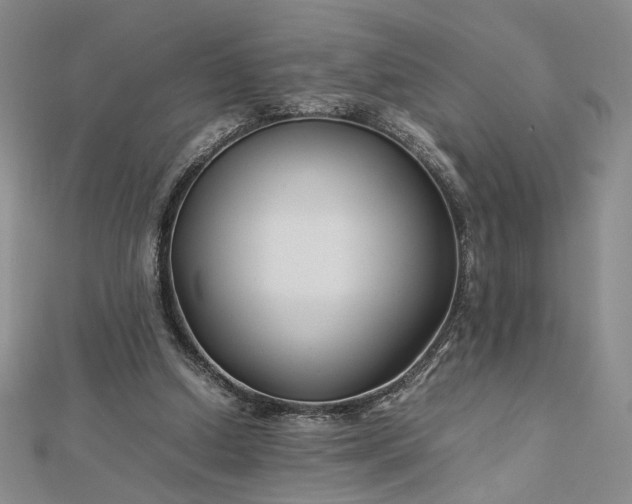 X0000112750250200909031533