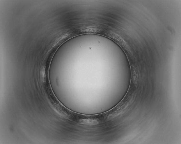 X0000112750251200909031533