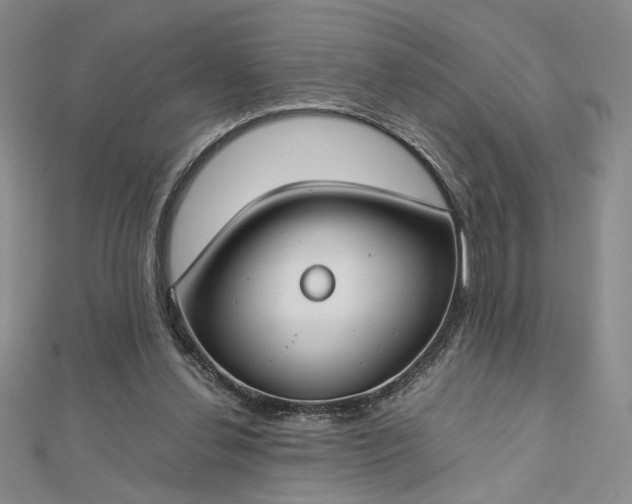 X0000112750252200909031533