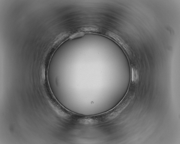 X0000112750253200909031533