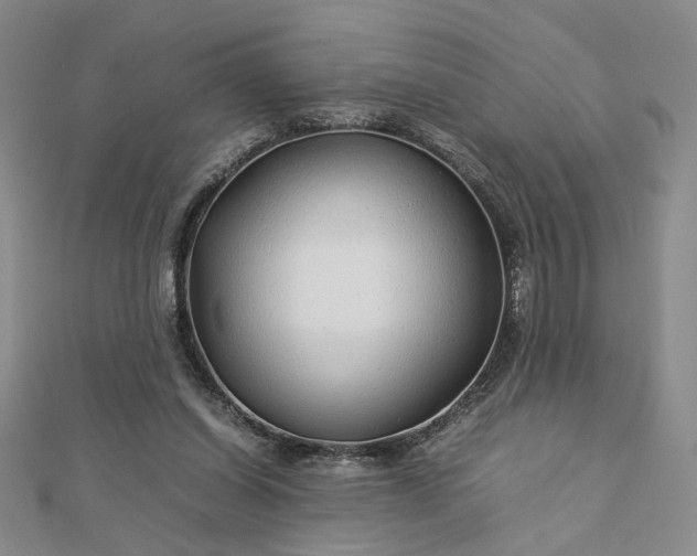 X0000112750254200909031533