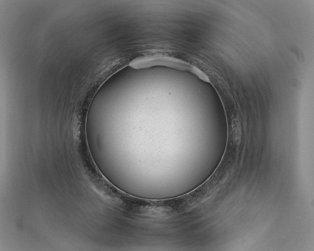 X0000112750255200909031533