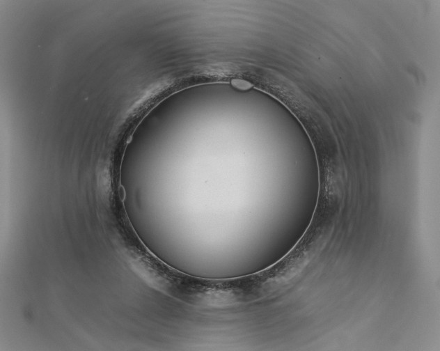 X0000112750256200909031533