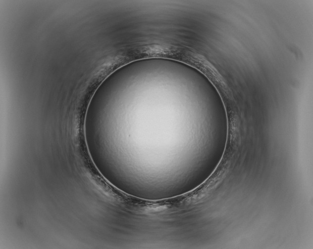 X0000112750257200909031533