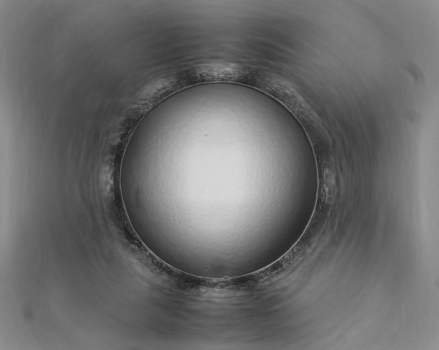 X0000112750259200909031533