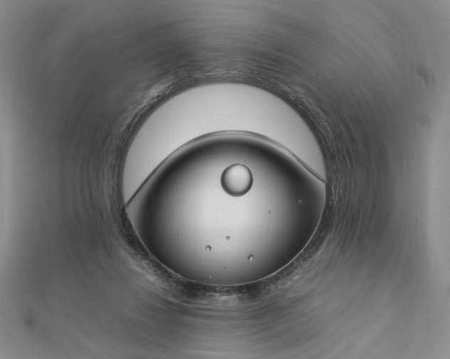 X0000112750260200909031533