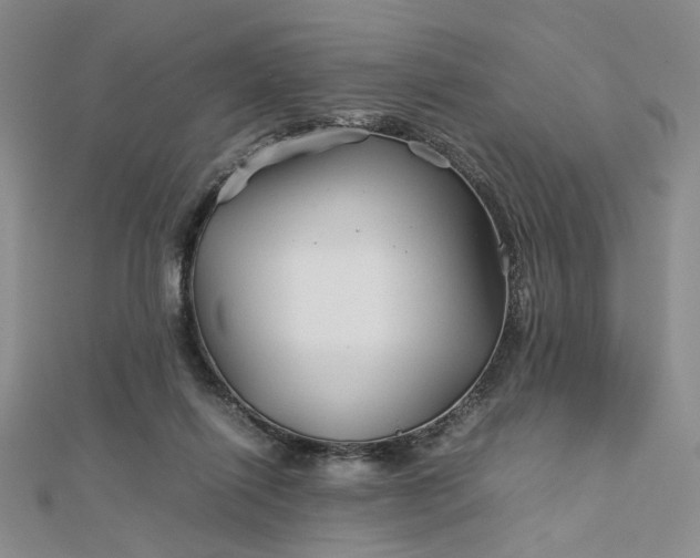 X0000112750262200909031533