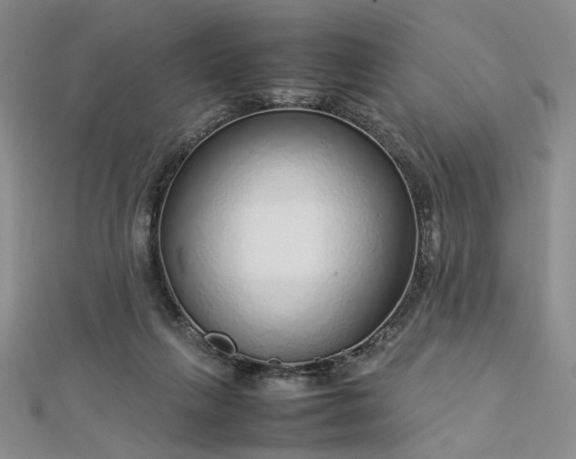 X0000112750263200909031533