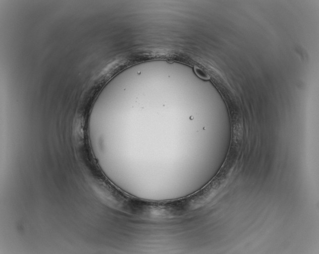 X0000112750264200909031533