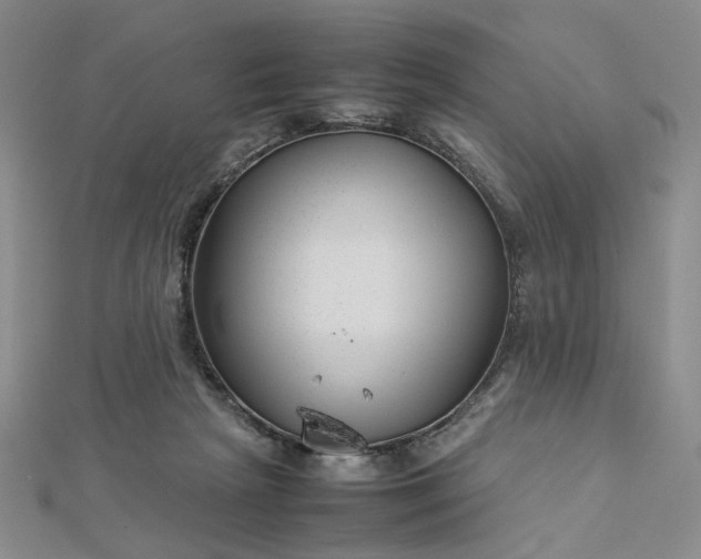 X0000112750265200909031533