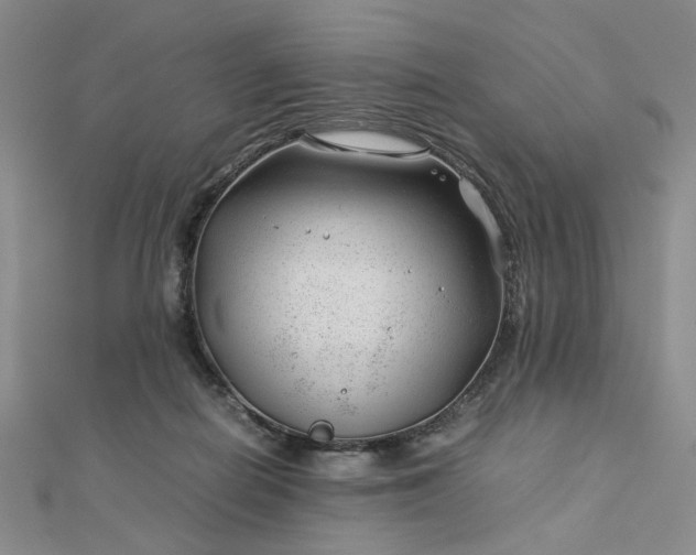 X0000112750266200909031533