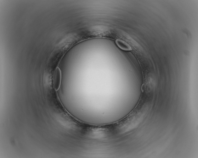 X0000112750268200909031533