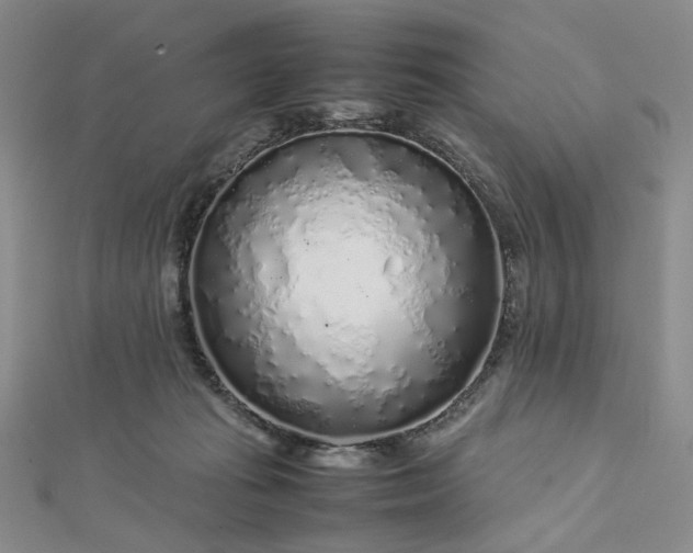 X0000112750269200909031533