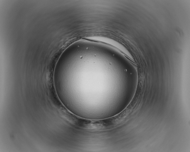 X0000112750270200909031533