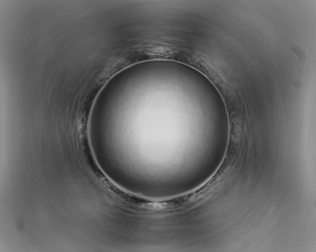 X0000112750273200909031533