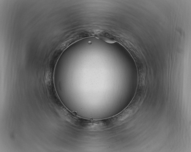 X0000112750274200909031533