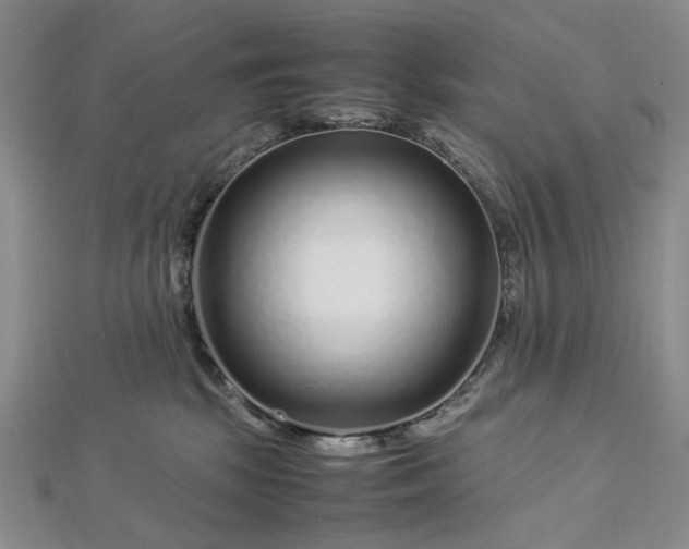 X0000112750281200909031533