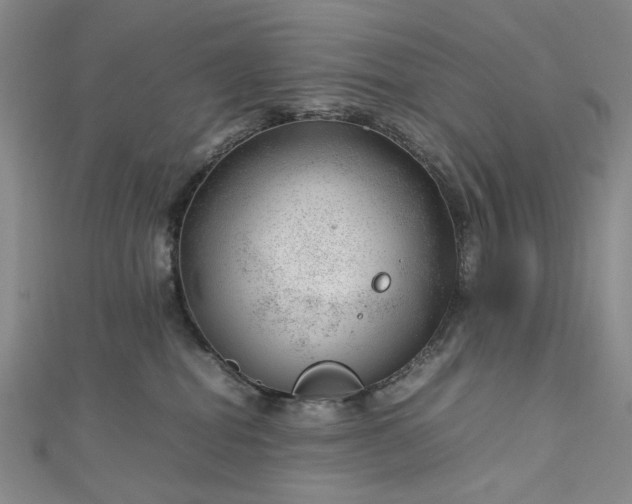 X0000112750282200909031533