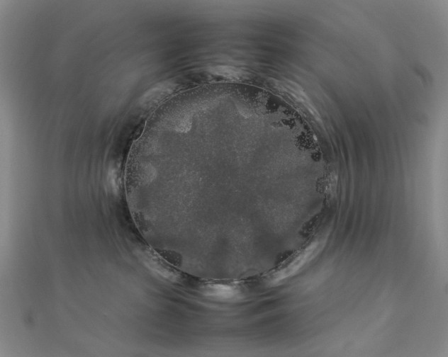 X0000112750285200909031533