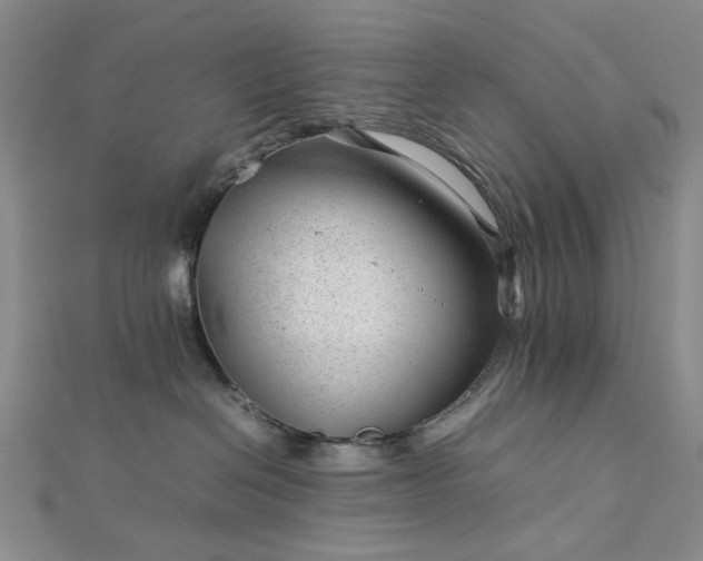 X0000112750286200909031533