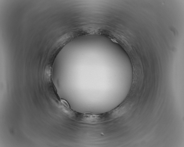 X0000112750288200909031533