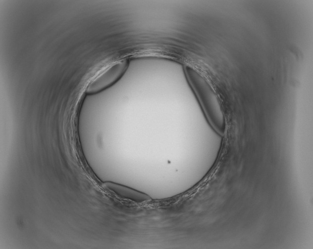 X0000112750289200909031532