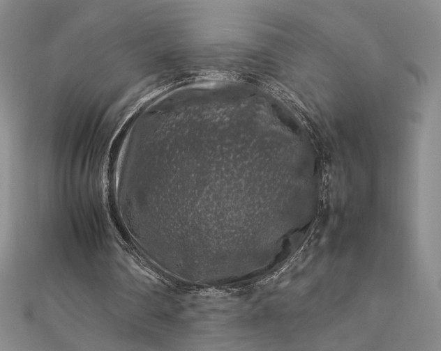 X0000112750290200909031532