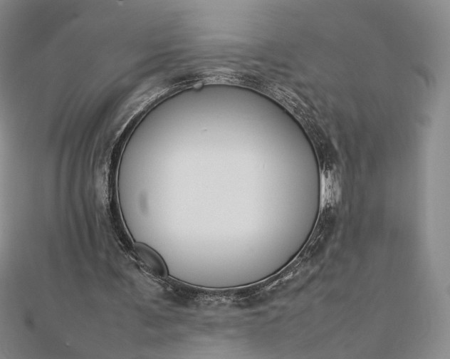 X0000112750291200909031532