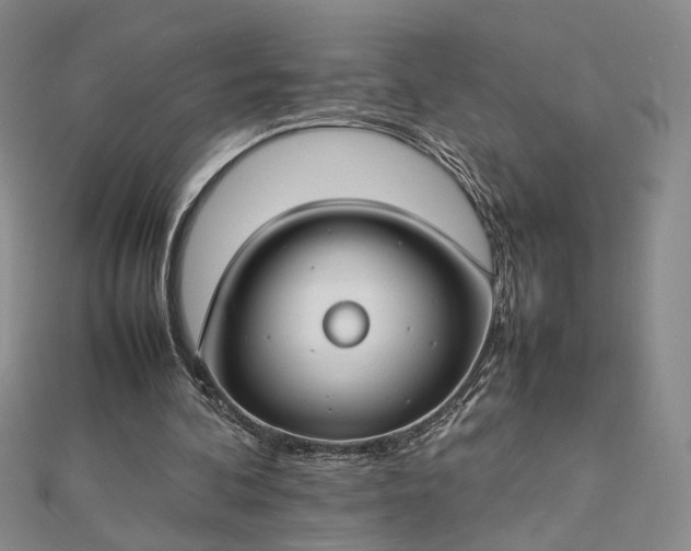 X0000112750292200909031532