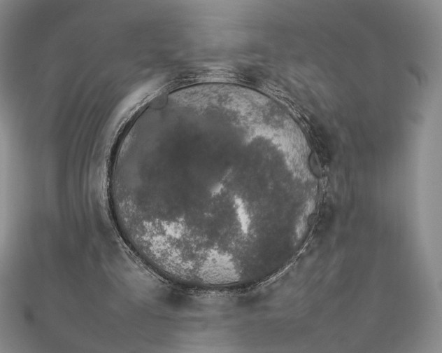 X0000112750293200909031532