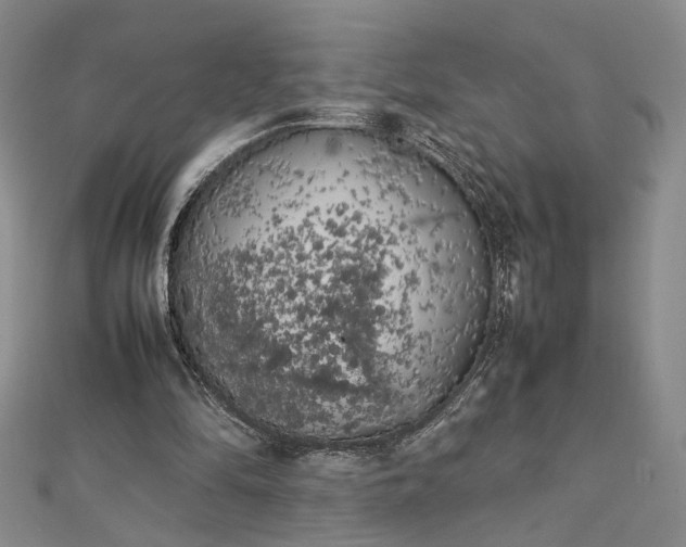 X0000112750294200909031532