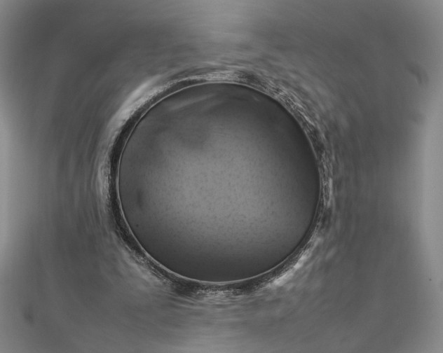 X0000112750295200909031532