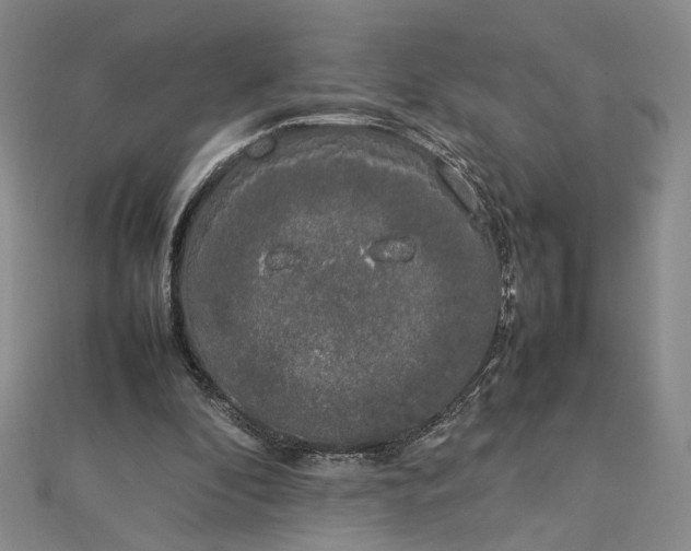 X0000112750296200909031532