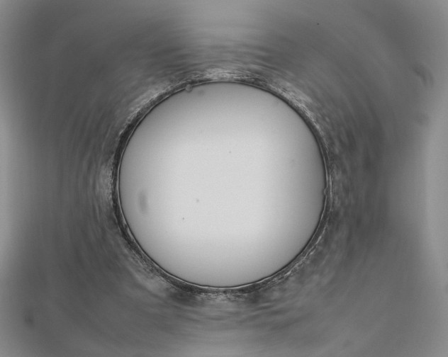 X0000112750297200909031532