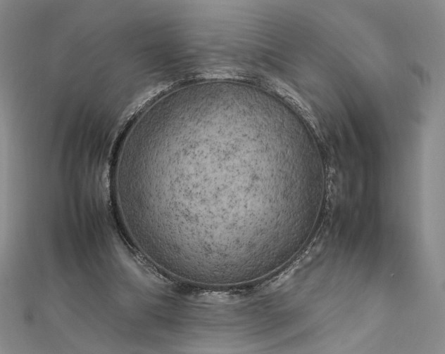 X0000112750298200909031532