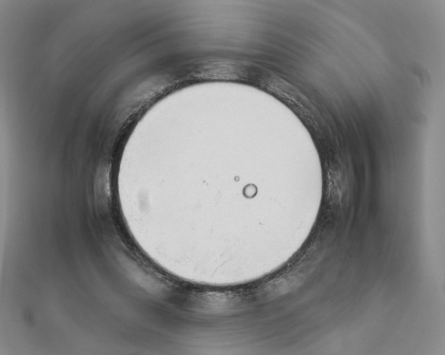 X0000112750302200909031532