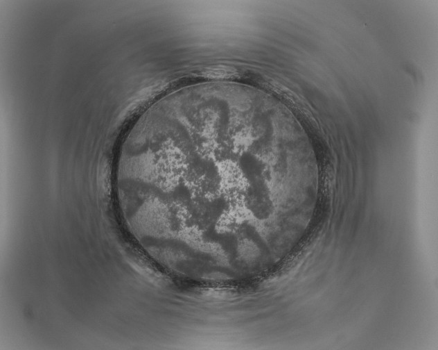 X0000112750303200909031532