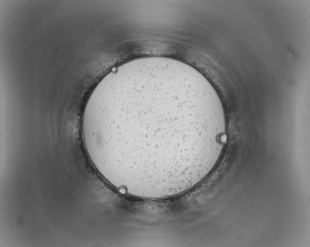 X0000112750305200909031532