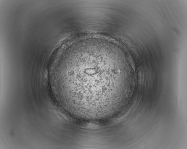 X0000112750308200909031532